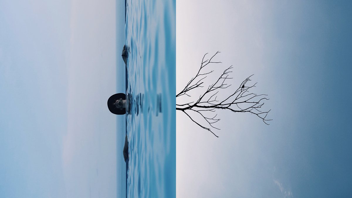 Parallel Perceptions 01